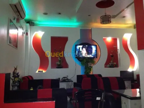 plaque au platre ba13