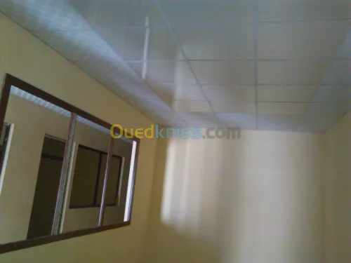 plaque au platre ba13