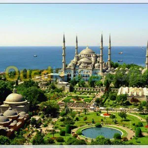 ORGANISATION DES FETES ET DES MARIAGE