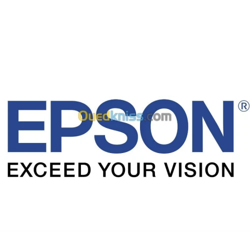 imprimante ticket  caisse Epson TM-T20