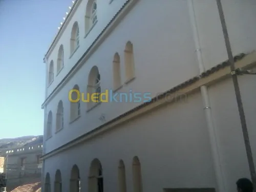 traitement de façade monocouche