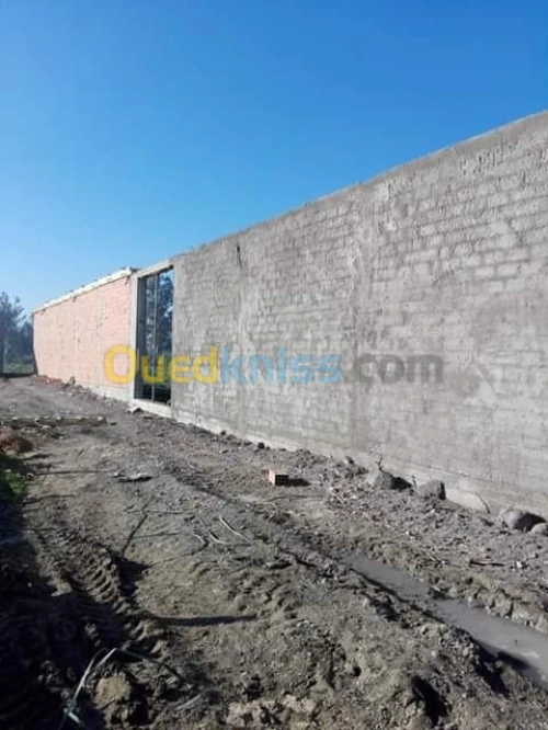 Travaux bâtiment ces