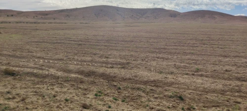 Vente Terrain Agricole Djelfa Djelfa