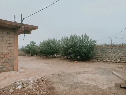 Vente Terrain Agricole Djelfa Djelfa