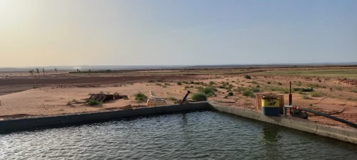 Vente Terrain Agricole Djelfa Djelfa