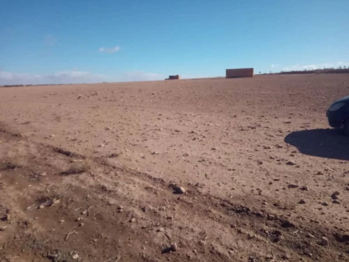 Vente Terrain Agricole Djelfa Ain oussara