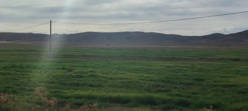 Vente Terrain Agricole Djelfa Djelfa