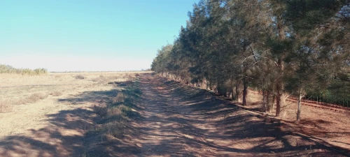 Vente Terrain Agricole Djelfa Ain oussara