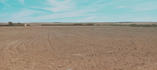 Vente Terrain Agricole Djelfa Birine