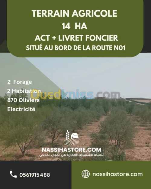 Vente Terrain Agricole Djelfa Ain oussara