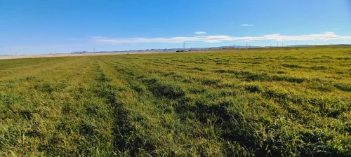 Vente Terrain Agricole Djelfa Ain oussara
