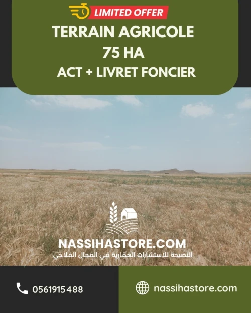 Vente Terrain Agricole Djelfa Djelfa