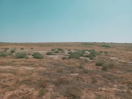 Vente Terrain Agricole Djelfa Birine