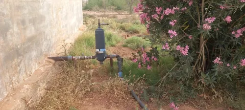 Vente Terrain Agricole Laghouat Ksar el hirane