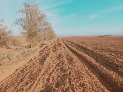 Vente Terrain Agricole Djelfa Ain oussara