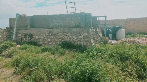 Vente Terrain Agricole Djelfa Ain oussara