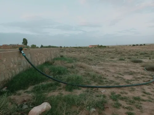 Vente Terrain Agricole Djelfa Djelfa