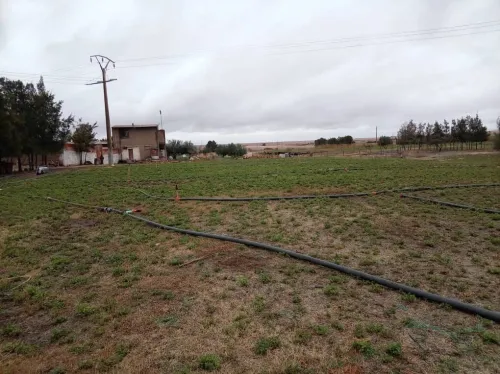 Vente Terrain Agricole Djelfa Djelfa