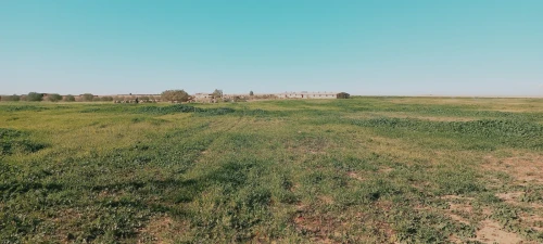 Vente Terrain Agricole Djelfa Birine