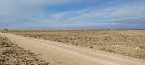 Vente Terrain Agricole Djelfa Djelfa