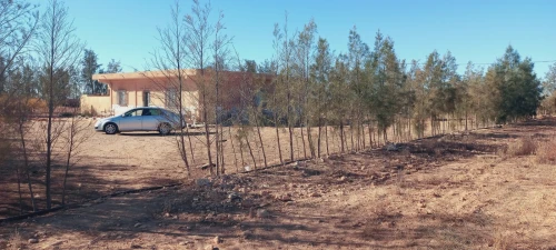 Vente Terrain Agricole Djelfa Djelfa