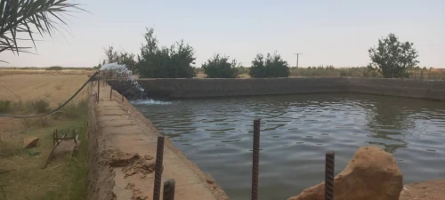 Vente Terrain Agricole Djelfa Djelfa