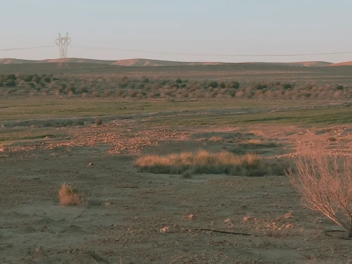 Vente Terrain Agricole Djelfa Djelfa