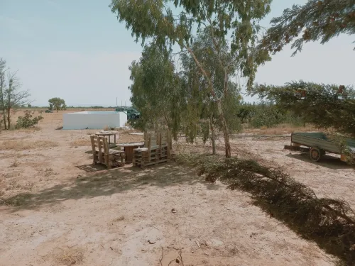 Vente Terrain Agricole Djelfa Ain oussara