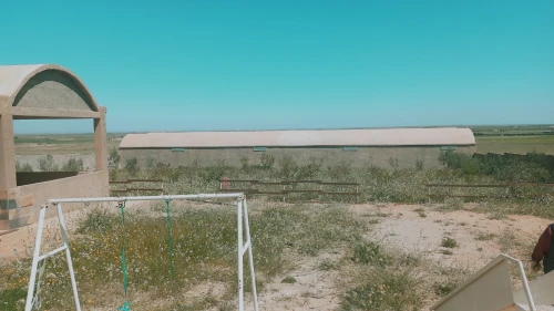 Vente Terrain Agricole Djelfa Had sahary