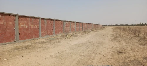 Vente Terrain Agricole Djelfa Ain oussara