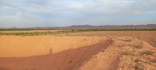 Vente Terrain Agricole Djelfa Had sahary