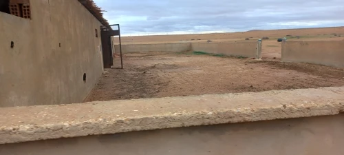 Vente Terrain Agricole Djelfa Ain oussara