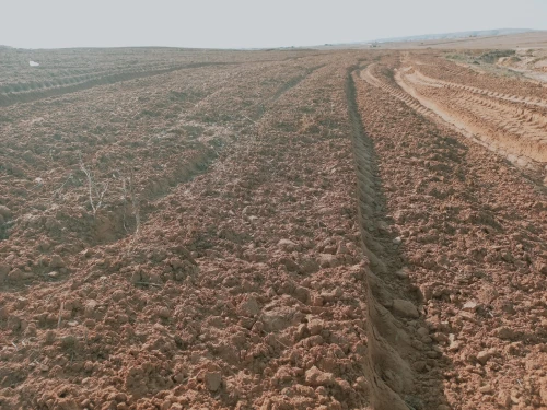 Vente Terrain Agricole Djelfa Djelfa