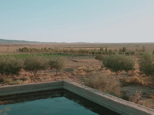 Vente Terrain Agricole Djelfa Djelfa