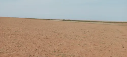 Vente Terrain Agricole Djelfa Ain oussara
