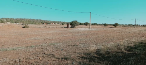 Vente Terrain Agricole Djelfa Djelfa