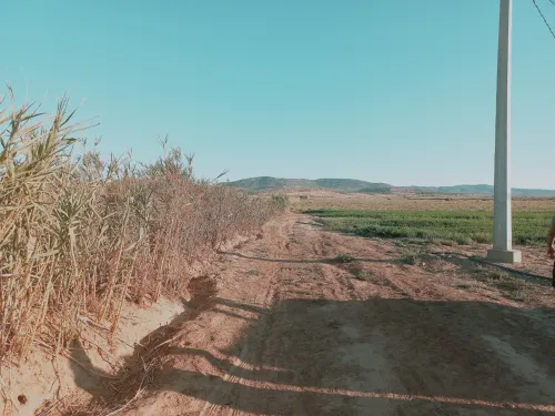Vente Terrain Agricole Djelfa Djelfa