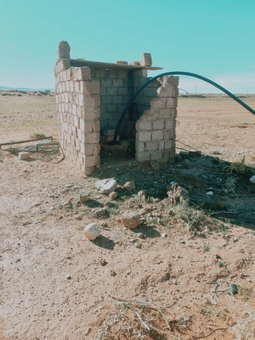 Vente Terrain Agricole Djelfa Djelfa