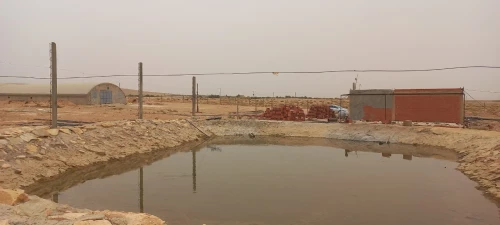Vente Terrain Agricole Djelfa Djelfa
