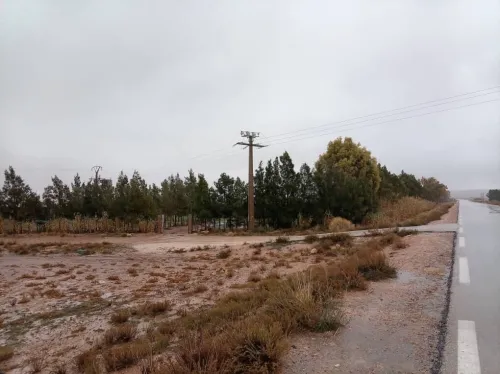 Vente Terrain Agricole Djelfa Djelfa