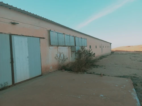 Vente Terrain Agricole Djelfa Charef