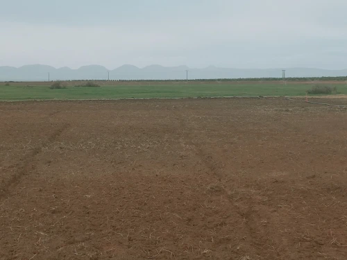 Vente Terrain Agricole Djelfa Benhar