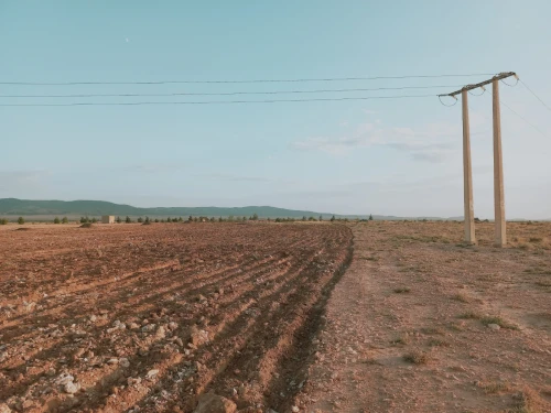 Vente Terrain Agricole Djelfa Djelfa