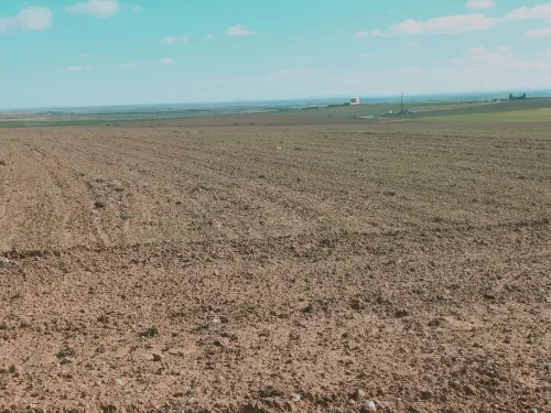 Vente Terrain Agricole Djelfa Birine