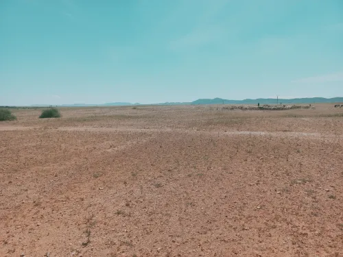 Vente Terrain Agricole Djelfa Bouira lahdab