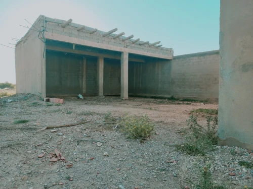 Vente Terrain Agricole Djelfa Djelfa