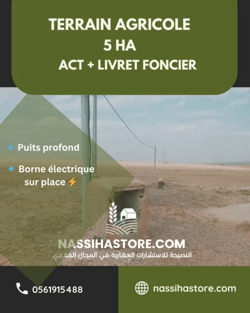 Vente Terrain Agricole Djelfa Djelfa