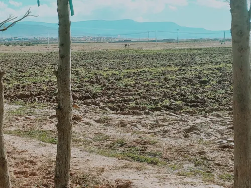 Vente Terrain Agricole Djelfa Had sahary