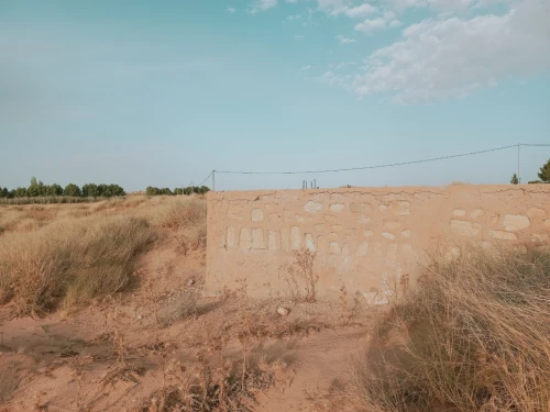 Vente Terrain Agricole Djelfa Charef