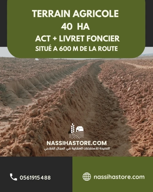 Vente Terrain Agricole Djelfa Djelfa